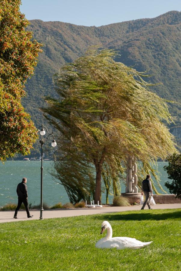 Major Sisters, Appartamento Vista Lago Di Lugano Porto Ceresio Exterior foto